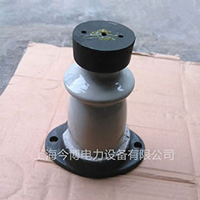 ZA-6T ZB-10T戶內膠支柱裝絕緣子ZA-10T 支撐瓷瓶（píng）